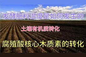 赵九升老师讲述土壤有机质转化！糖类物质的分解！视频封面