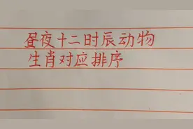昼夜十二时辰动物生肖对应排序视频封面