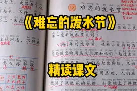 二年级语文上册：精读课文《难忘的泼水节》感受节日的盛大和难忘视频封面