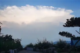 强哥教您怎样上传作品到今日头条，学会了就可以赚零花钱了。视频封面