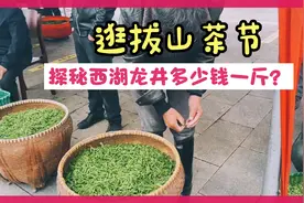 西湖龙井明前茶贵的不敢碰，今天带大家一起探秘，到底多少一斤？视频封面
