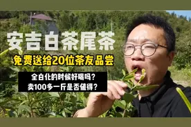 全白化的安吉白茶好喝吗？免费送了20位茶友品尝，100多一斤值吗视频封面