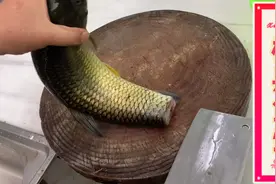 都说鱼生有寄生虫，其实跟配料有很大的关系，吃得多自然就懂了！视频封面