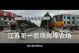 江苏第一农场岗埠农场，学校医院市场麻雀虽小五脏俱全。一起看看视频封面