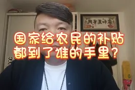 国家给农民的补贴都到了谁的手里？视频封面