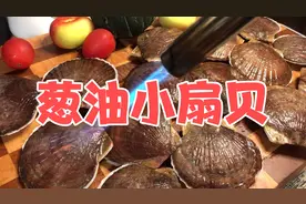 大厨教您怎么开扇贝不伤手，还完整，顺便做个葱油小扇贝