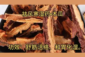 介绍祛风寒湿药•木瓜，具舒筋活络和胃化湿等作用。视频封面