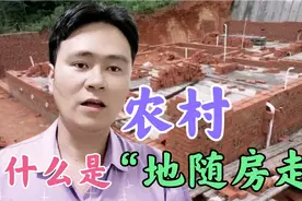 农村宅基地能否继承？什么是“地随房走”？宅基地未来走向？视频封面