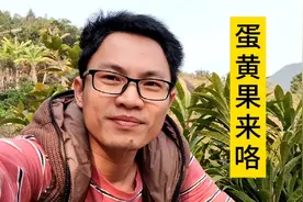 蛋黄果可以盆栽也可以地栽哦！您吃过蛋黄果吗？可以试试种哦！视频封面