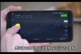 4分钟告诉你东南亚金融危机的来龙去脉！视频封面