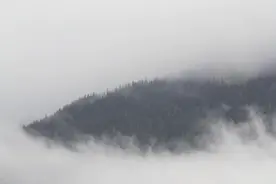 雾里看花，水中望月视频封面