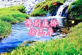 轻轻的我来了  正如我轻轻的走  徐志摩经典诗词《再别康桥》视频封面