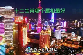 十二生肖哪个属相最好视频封面