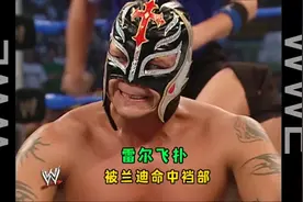 兰迪老爹干扰比赛，雷尔飞扑被兰迪命中裆部，真疼视频封面