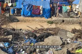 印度贫民区的真实现状，可能会颠覆你的认知，真的是太穷了视频封面