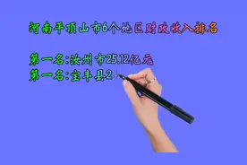 河南平顶山市6个地区财政收入排名视频封面