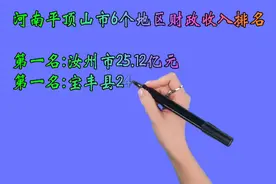 河南平顶山市6个地区财政收入排名视频封面