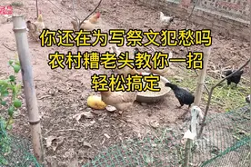 你还在为写祭文犯愁吗？农村糟老头教你一招，轻松搞定视频封面