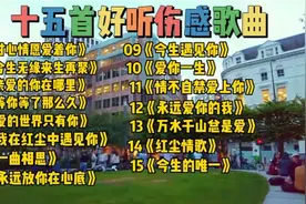 十五首好听伤感歌曲《甘心情愿爱着你》《等你等了那么久》
