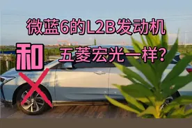 微蓝6的L2B发动机和五菱宏光一样？大错特错视频封面
