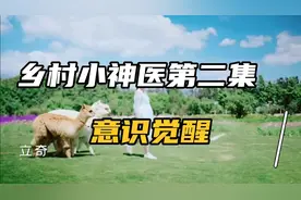 乡村小神医，第二集，意识觉醒