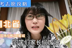 湖北省武汉市5所211院校视频封面