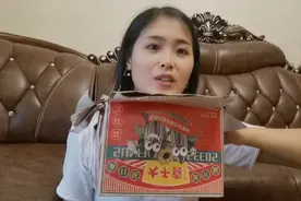 4号了还未处理好大儿子的学校，真的是融不进的城市回不去的农村视频封面