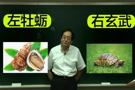 倪海厦讲本草：牡蛎、乌龟视频封面