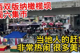 西双版纳橄榄坝每周仅一次的周六集市，非常热闹，美食特产也很多视频封面