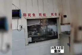 餐饮店贴雷人标语，为了给客人一个信任。视频封面