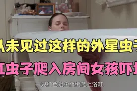 一只红色虫子慢慢爬去房间，一家人被虫子袭击四处逃窜，能否救援视频封面