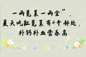 一两苋菜一两金，夏天吃红苋莱4个好处，补钙补血营养高