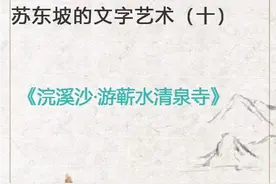 苏东坡的文字艺术之《浣溪沙·游蕲水清泉寺》谁道人生无再少视频封面