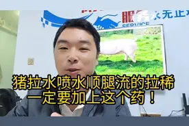 猪拉水喷水顺腿流的拉稀，一定要加上这种药！有意想不到的效果！视频封面