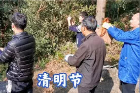 江西遂川清明节扫墓，全家一起出动，缅怀祖先体现孝道视频封面