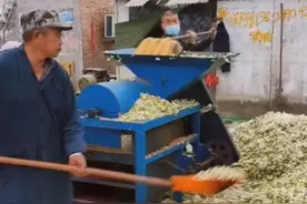 梨花粉制作现场视频封面