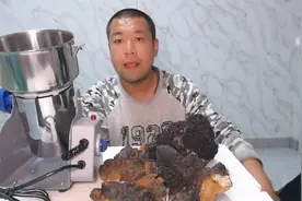 今天跟大家聊聊白桦茸，对人体的好处，以及打粉过程。视频封面