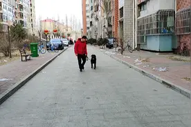这些话对养好狗有启发吗？训犬的本质是教会主人视频封面