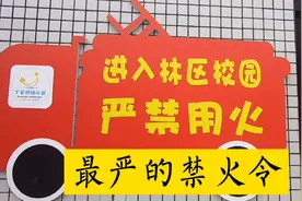 中国最大的飞播林区，最严的禁火令，与前两年凉山大火灾有关视频封面