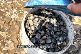 分享一个查看潮汐表的方法，以后赶海再也不会担心白跑一趟啦视频封面