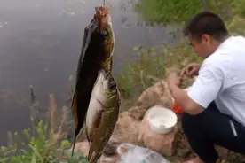 今天又去钓鱼啦，没有鱼线和鱼漂看看我怎么钓上鱼的！
