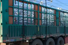 测风塔视频封面