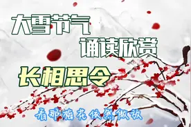 大雪压梅，一首长相思令，真情实感视频封面