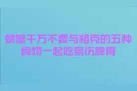 螃蟹千万不要 与相克的五种食物 一起吃 易伤脾胃