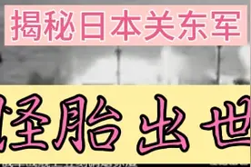 日本怪胎关东军的来历