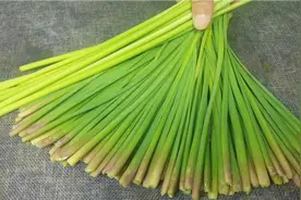 蒜苔尾巴不要扔了，教你个家常新吃法，挑食的孩子都喜欢，太香了视频封面