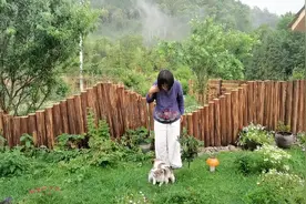 她离开一线城市，回老家改造农村小院，网友们说像仙境一样视频封面