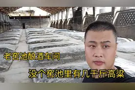 一百斤高粱可以酿多少斤酒？啵啵坦言，其实窖池里的泥巴也要喝酒视频封面