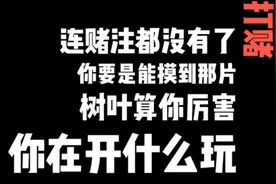 你要是能摸到那片树叶，算你厉害👍……视频封面