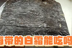 海带又称昆布属海中珍草，软坚降脂药食同源，称其功能食品不为过视频封面
